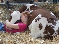 Cow with child